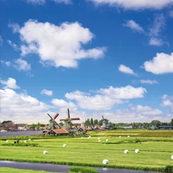 pw-angebote-19-2026 Wiese mit Windmühlen und blauem Himmel.