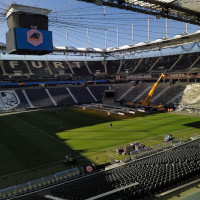 Blick auf den Rasen im Frankfurter Waldstadion.