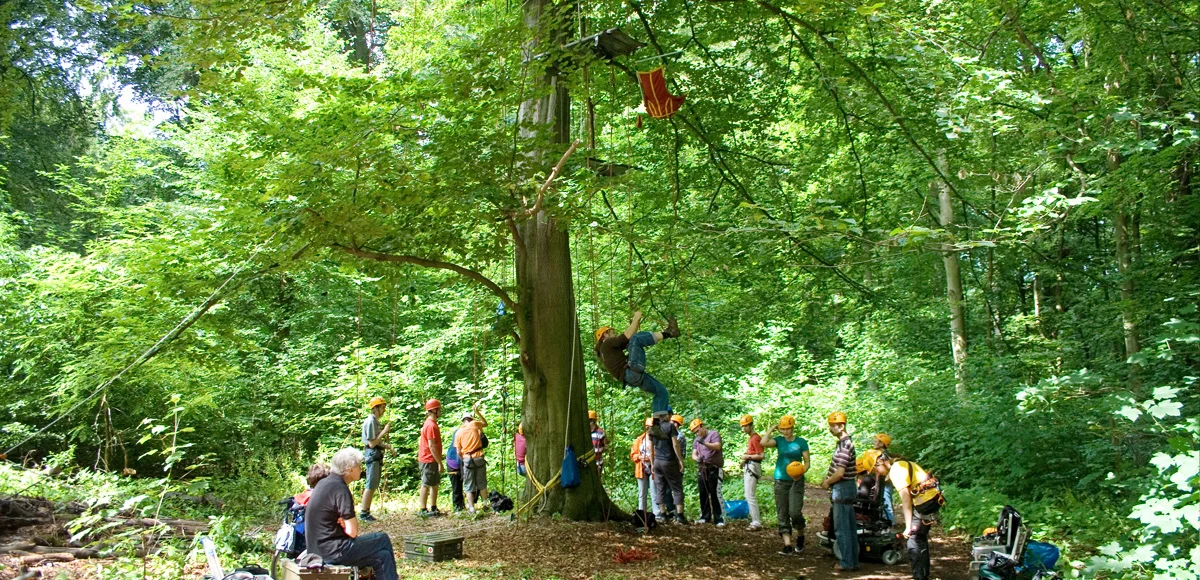 Personengruppe beim Baumklettern im Stadtwald.